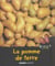 La pomme de terre