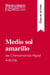 Medio sol amarillo de Chimamanda Ngozi Adichie (Guia de lectura) : Resumen y analisis completo
