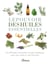 Le pouvoir des huiles essentielles : Les 50 huiles essentielles les plus bénéfiques pour votre santé et votre bien-être