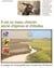 Il est un beau chemin semé d'épines et d'étoiles