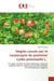 Dégâts causés par le carpocapse du pommier Cydia pomonella L. : Sur deux variétés (Golden delicious et Dorset golden) dans la région de Draa Ben Khedda