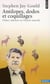 Antilopes, dodos et coquillages