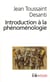 Introduction à la phénoménologie