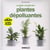 Guide complet des plantes dépolluantes