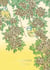 Un herbier