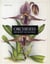 Orchidées du bout du monde