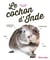 Le cochon d'inde