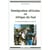 L'immigration africaine en Afrique du Sud - les migrants francophones des années 90
