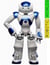 Robotic worlds /anglais