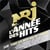 Nrj l'année des hits 2019