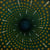 Nexus