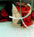 Red brocade - CD