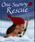 ONE SNOWY RESCUE