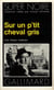 Sur un p'tit cheval gris