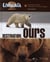 Destination ours