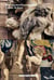 Le musée des arts décoratifs de Strasbourg - le guide