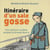 Itineraire d'un sale gosse - une aventure nordiste pendant la grande guerre