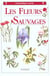 Les fleurs sauvages