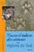 Traces et indices des animaux des regions du sud