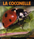 La coccinelle