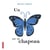 Un papillon sur un chapeau