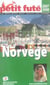 Norvege, 2007 petit fute