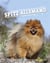 Le spitz allemand