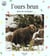 L'ours brun