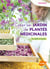 Créer un jardin de plantes médicinales - au jardin et en pots