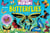 La nature en pop-up ! : Butterflies