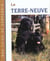 Terre neuve