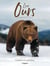 Les ours - puissants et vulnérables