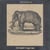Pachyderm - CD