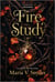 Fire study