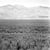 Don kirby grasslands