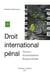 Droit international pénal : sources, incriminations, responsabilité