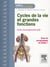 Cycles de la vie et grandes fonctions - UE 2.2