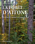 La forêt d'Aïtone - un dôme de verdure en Corse du sud