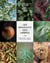 Les bienfaits des arbres - reconnaître, récolter, cuisiner et se soigner