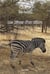 Les reves d'un zebre