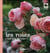 Les roses, c'est pas sorcier !