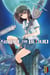 Strike the blood Tome 2