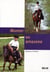 L'équitation en amazone