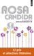 Rosa candida