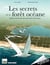 Les secrets de la forêt océane, 2000 ans d'histoire du pays landes, nature, côte d'argent