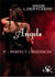 Angels fire Tome 2 : perfect obsession