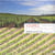 Vignes et patrimoine - sommières, pic saint-loup, grès de montpellier, terrasses du larzac