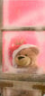 Marque page ourson noel