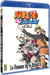 Naruto Shippuden - Le film : La Flamme de la Volonté