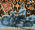 That'll Flat Git It! Vol. 50 - Rockabilly & Rock 'n' Roll From The Vaults Of Columbia & Epic R...